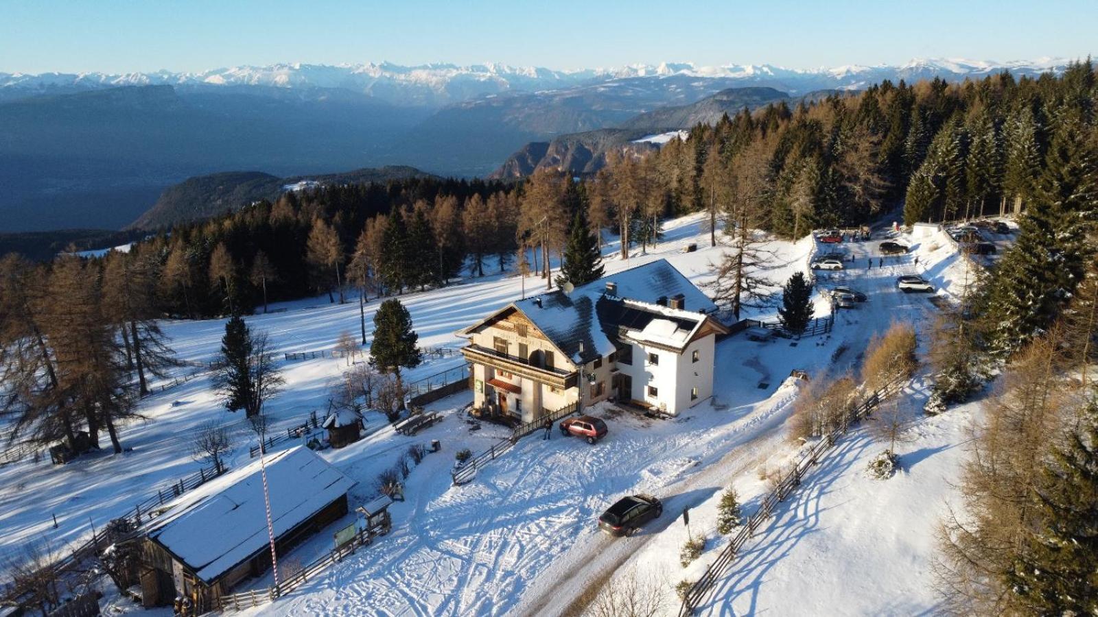 Gasthof Schmiederalm 阿尔迪诺 外观 照片