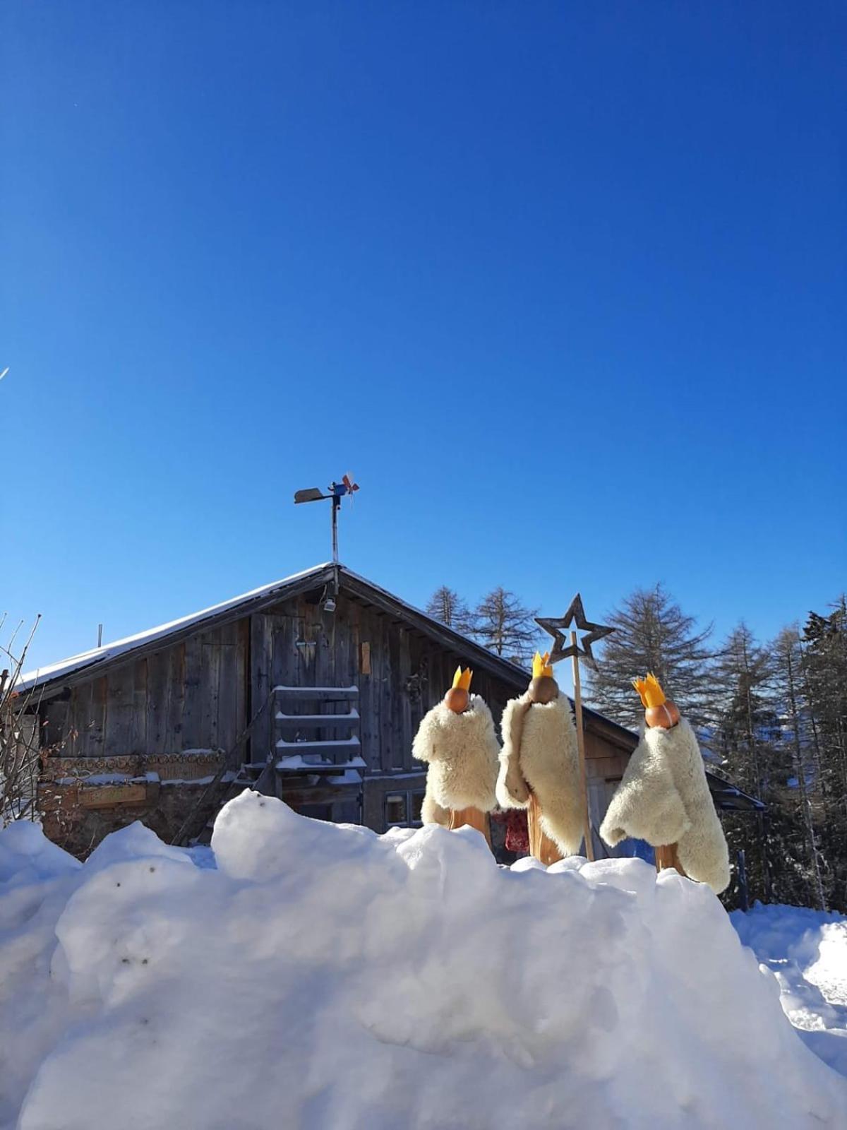 Gasthof Schmiederalm 阿尔迪诺 外观 照片