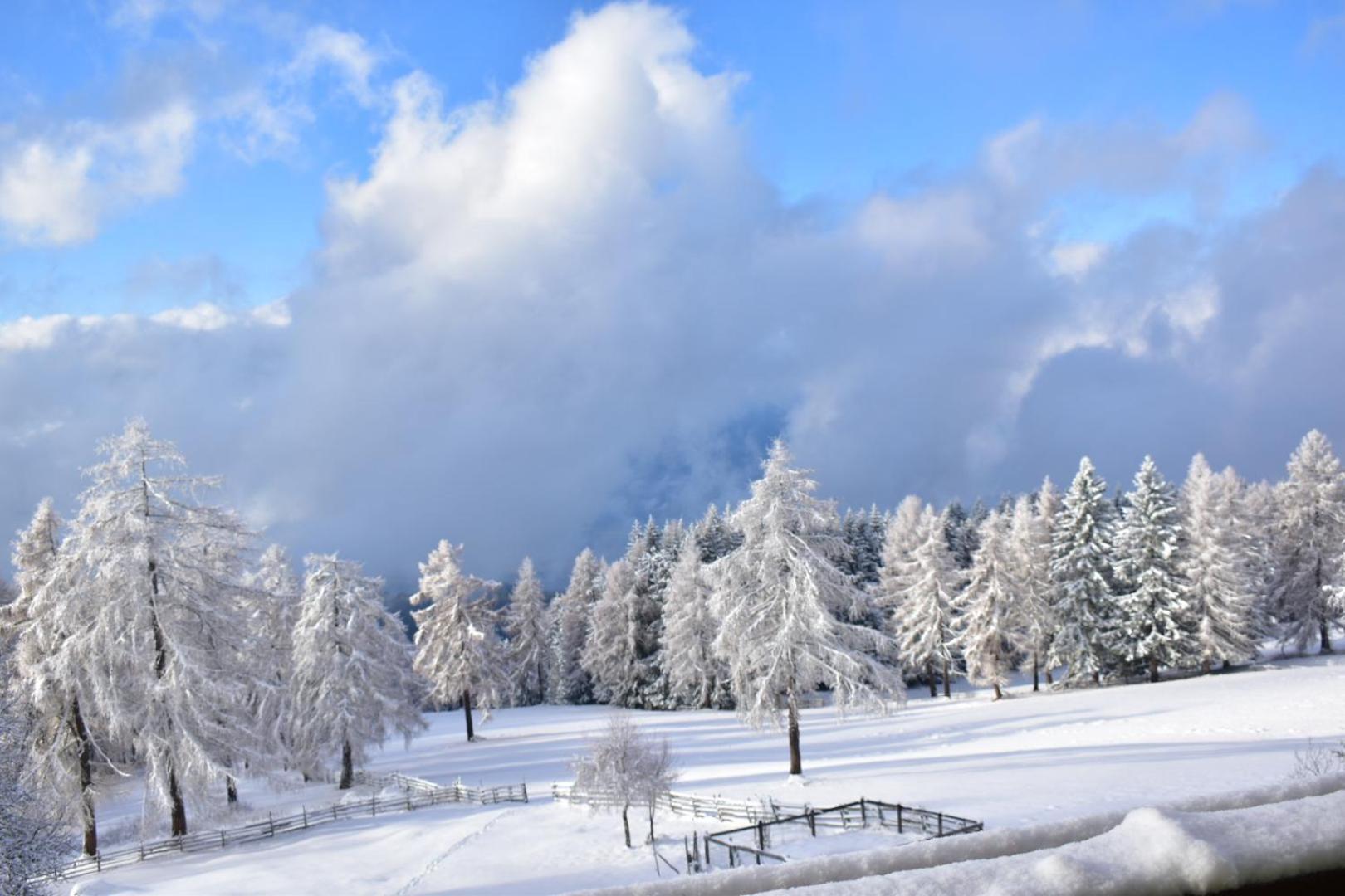 Gasthof Schmiederalm 阿尔迪诺 外观 照片