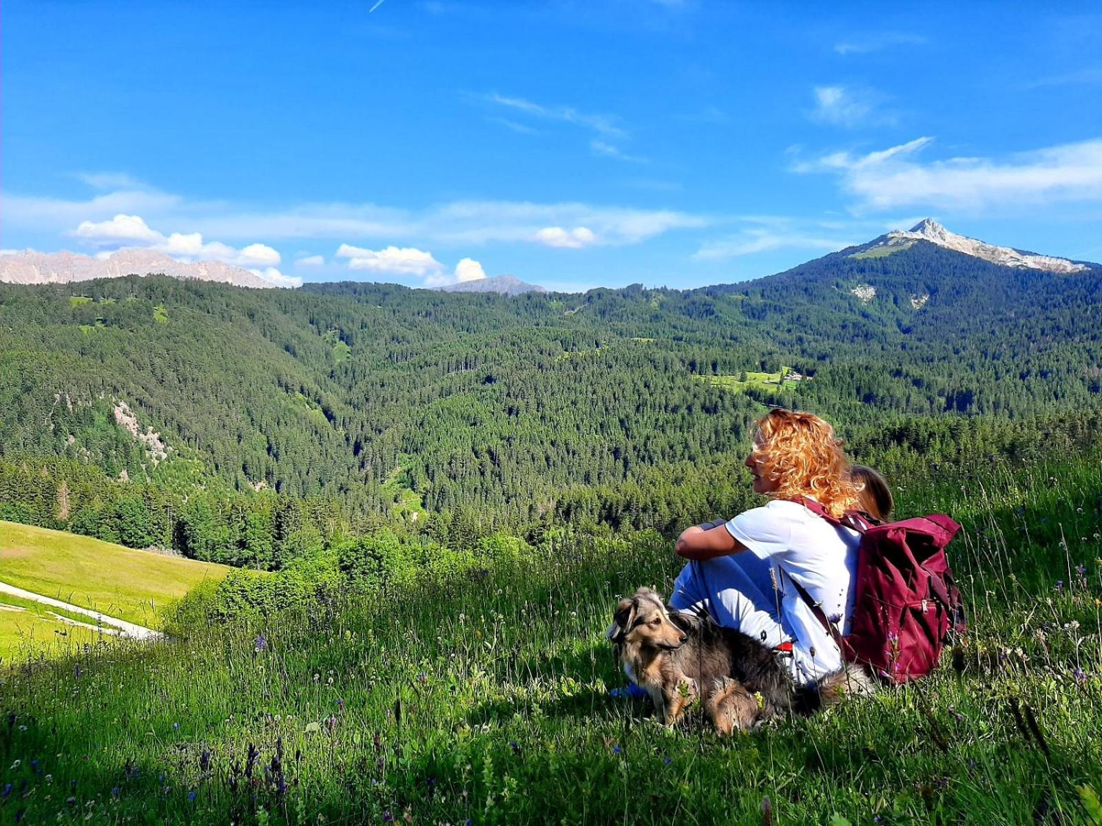 Gasthof Schmiederalm 阿尔迪诺 外观 照片