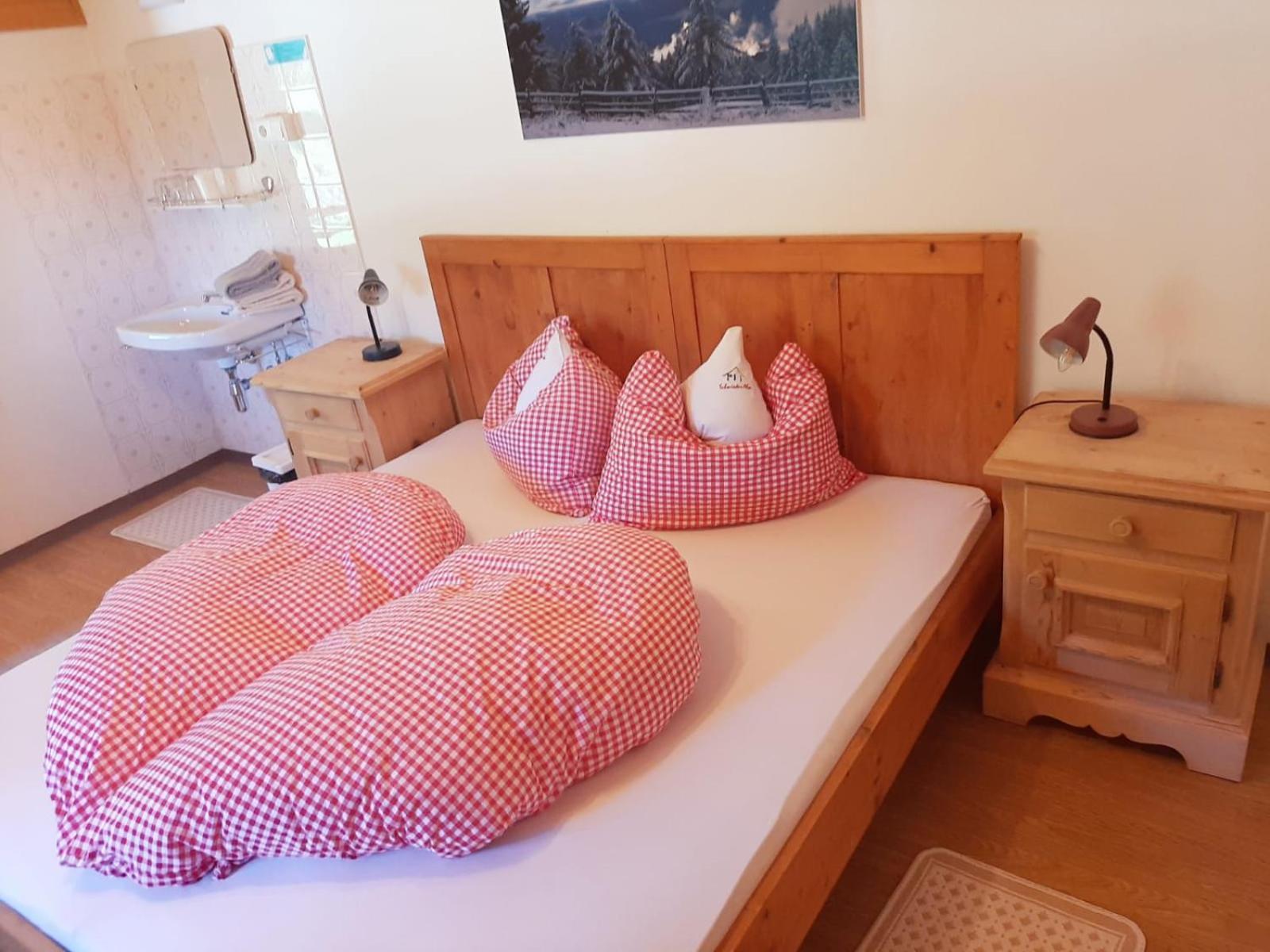 Gasthof Schmiederalm 阿尔迪诺 外观 照片